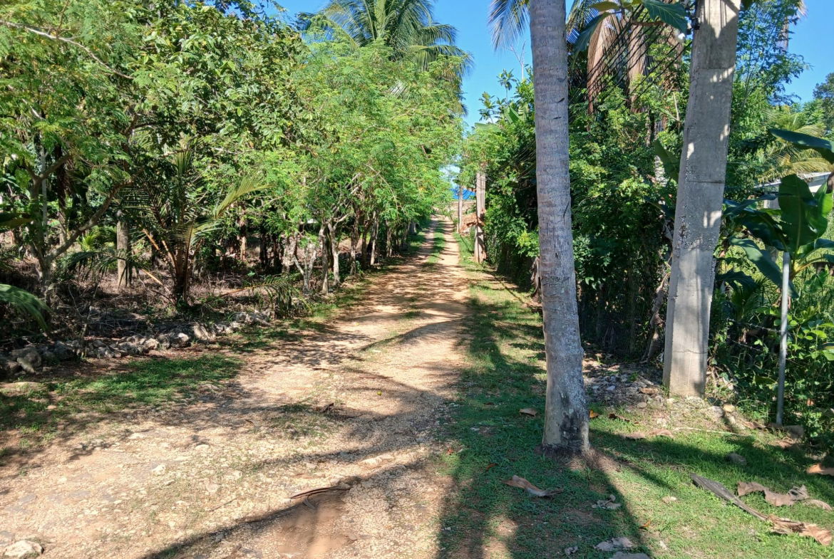 Sixth image of Treadways in Linstead, St. Catherine, Jamaica - property is For Sale