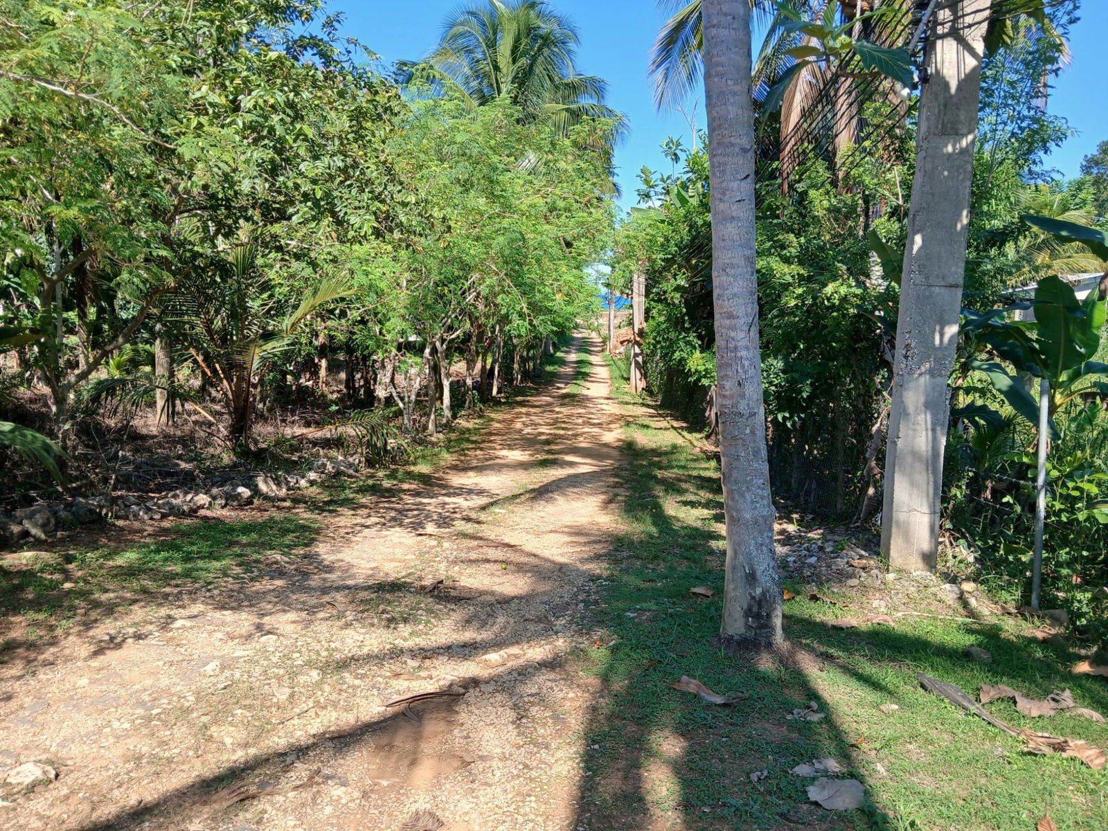 Sixth image of Treadways in Linstead, St. Catherine, Jamaica - property is For Sale