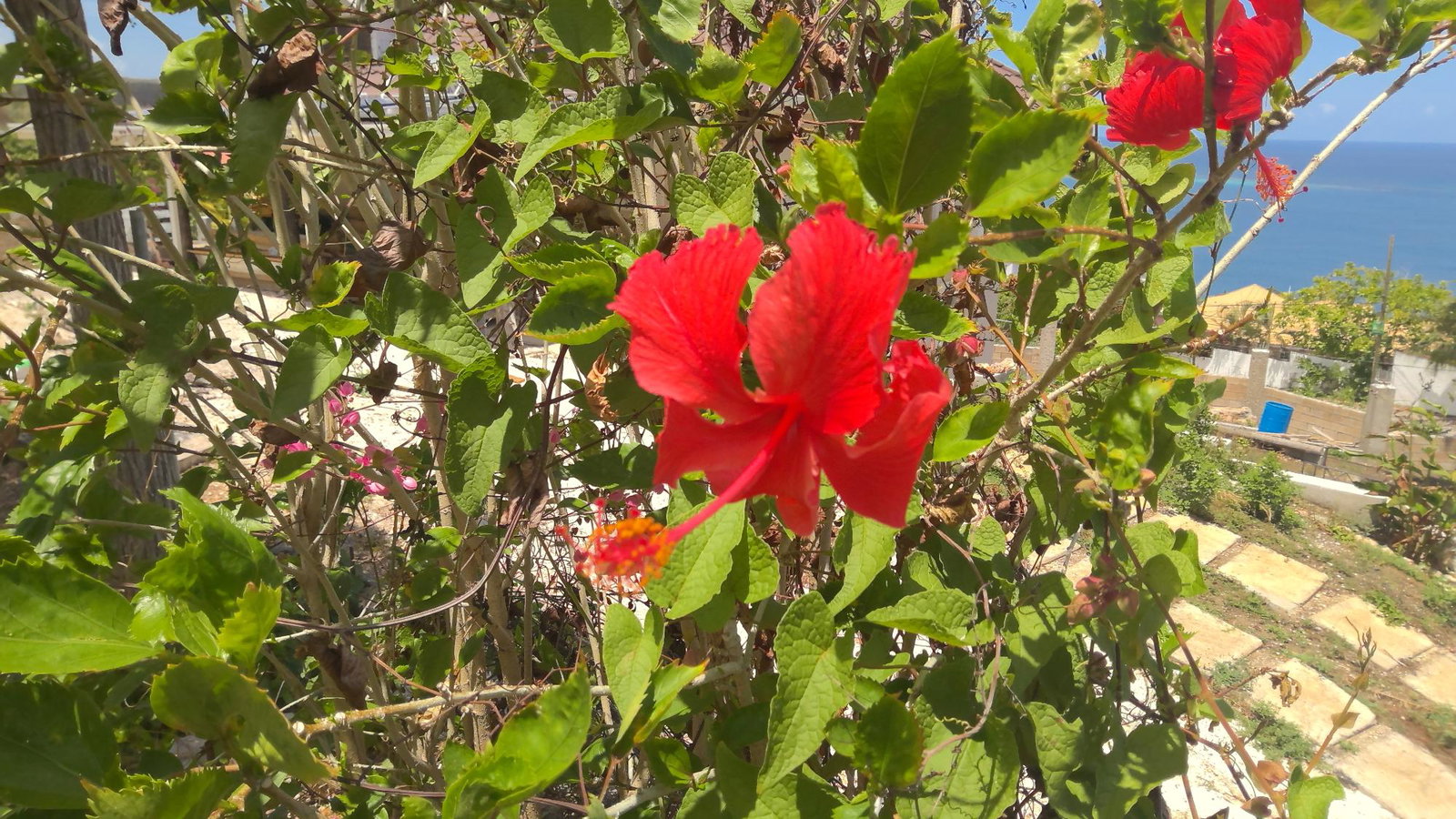 Grand-4-Bedroom-Oceanview-Estate-for-Sale-in-Discovery-Bay-St.-Ann-Jamaica Twenty-Seventh image of Lot 11-16 Discovery Bay in Discovery Bay, St. Ann, Jamaica - property is For Sale