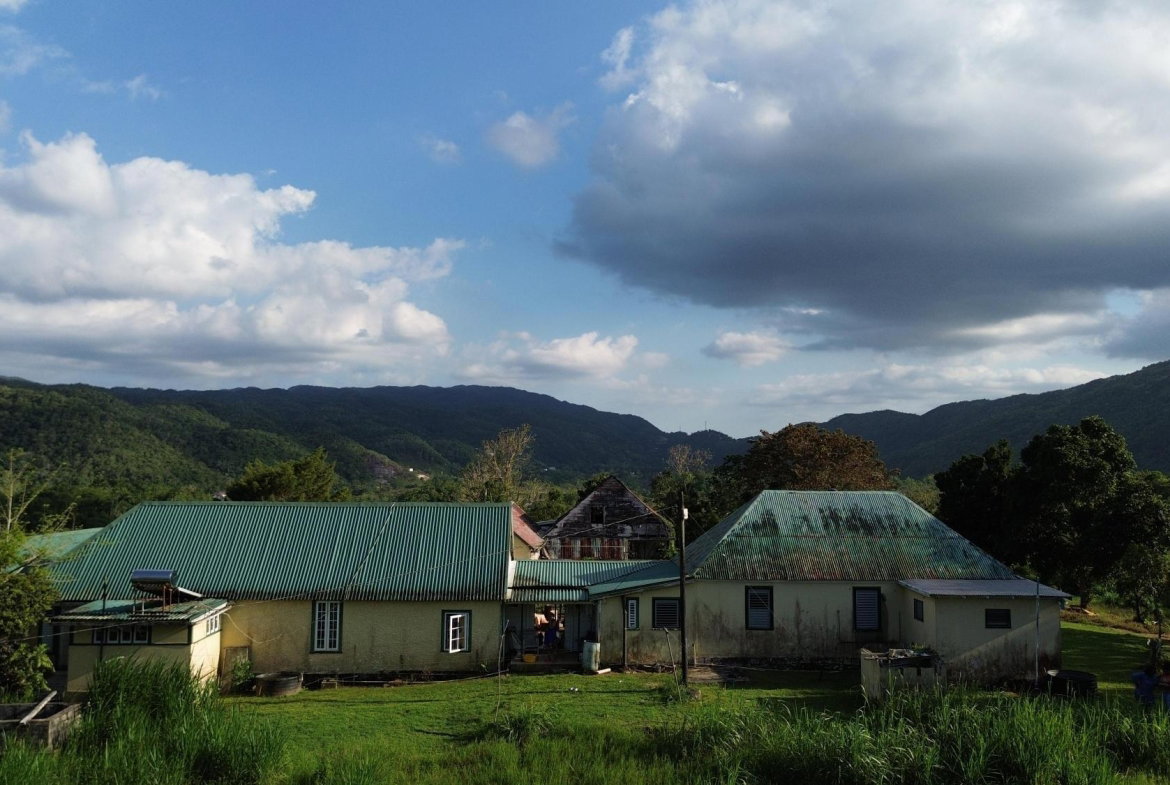 Thirteenth image of Grierfield Moneague, St. Ann in Moneague, St. Ann, Jamaica - property is For Sale
