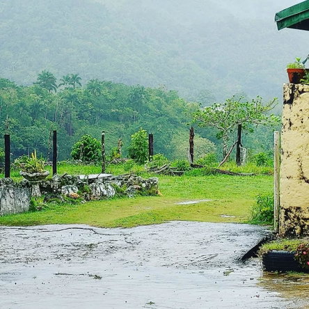 Fourth image of Grierfield Moneague, St. Ann in Moneague, St. Ann, Jamaica - property is For Sale