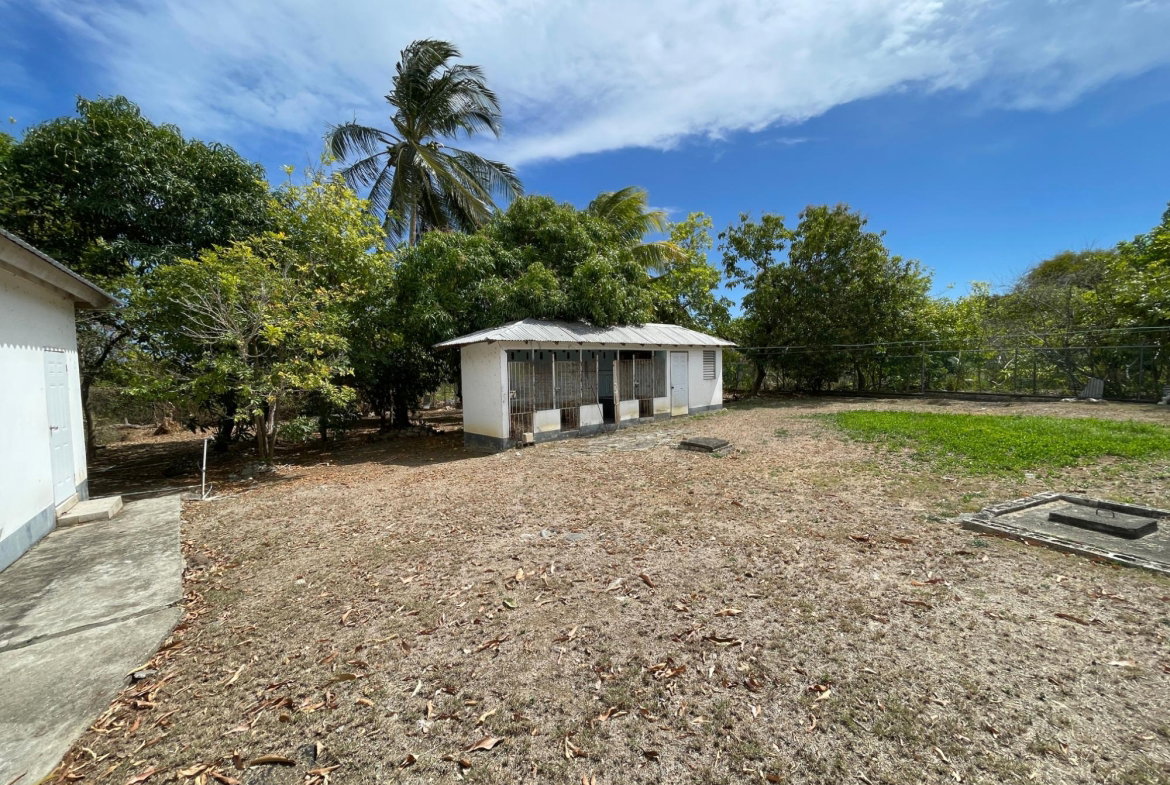 Twentieth image of 9 Mount George Pen in Pomfret, St. Thomas, Jamaica - property is For Sale