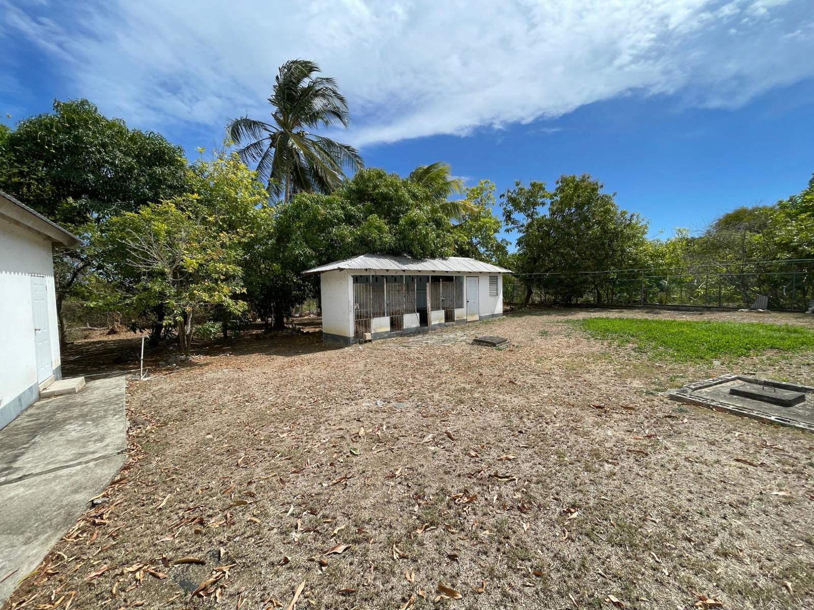 Guest-House-Opportunity-For-Sale-in-Pamphret-St.-Thomas-Jamaica-5-Acre-Property Twentieth image of 9 Mount George Pen in Pomfret, St. Thomas, Jamaica - property is For Sale