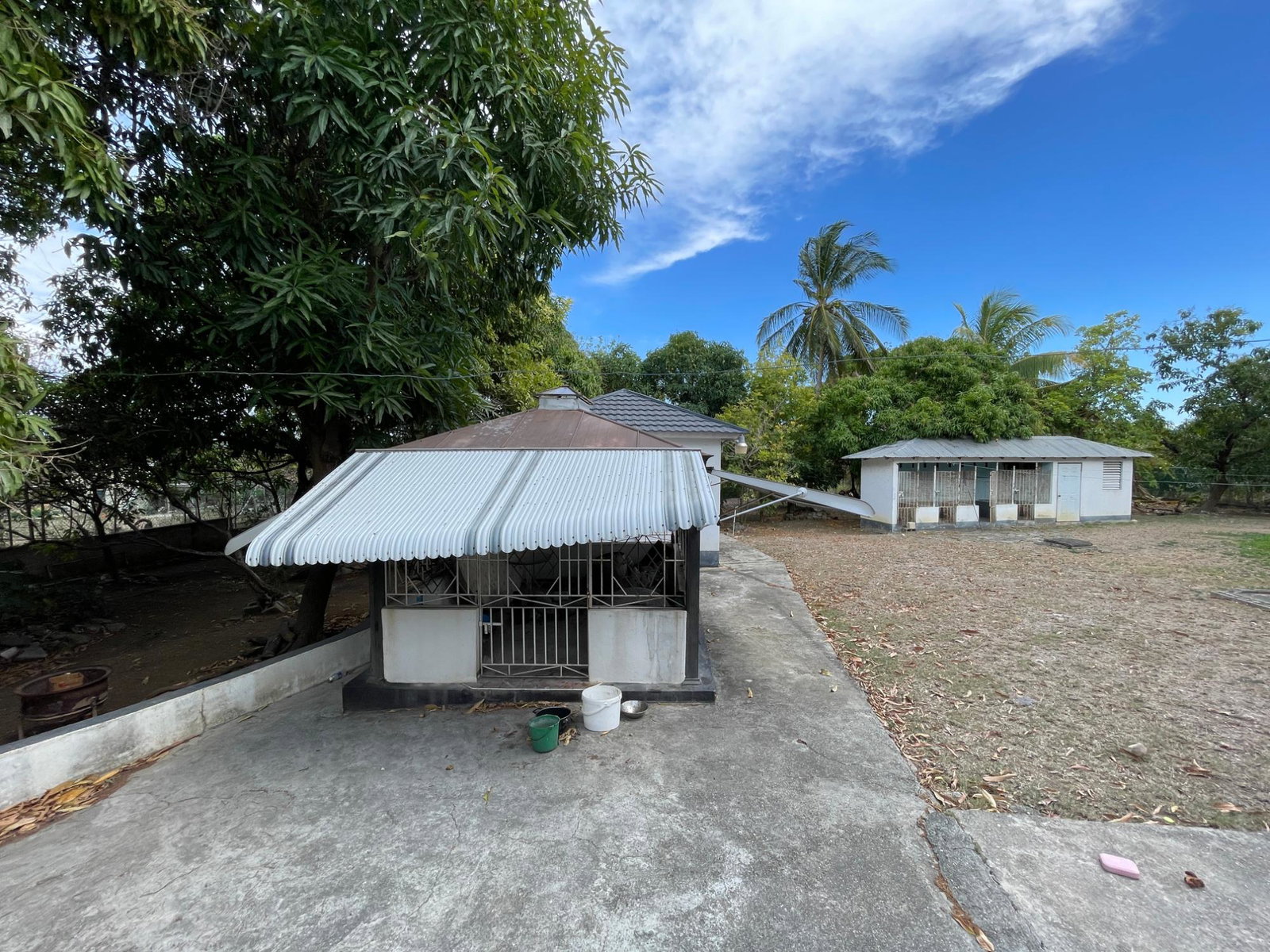 Guest-House-Opportunity-For-Sale-in-Pamphret-St.-Thomas-Jamaica-5-Acre-Property Twenty-Fourth image of 9 Mount George Pen in Pomfret, St. Thomas, Jamaica - property is For Sale