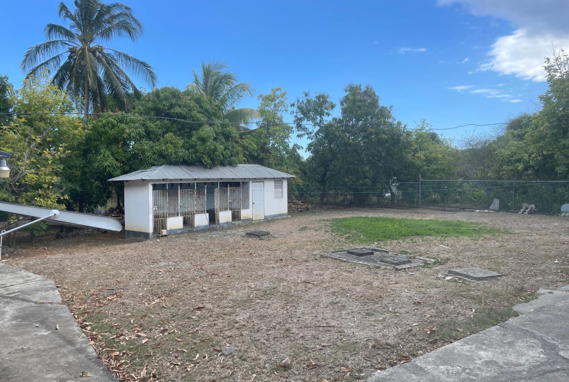 Twenty-Fifth image of 9 Mount George Pen in Pomfret, St. Thomas, Jamaica - property is For Sale