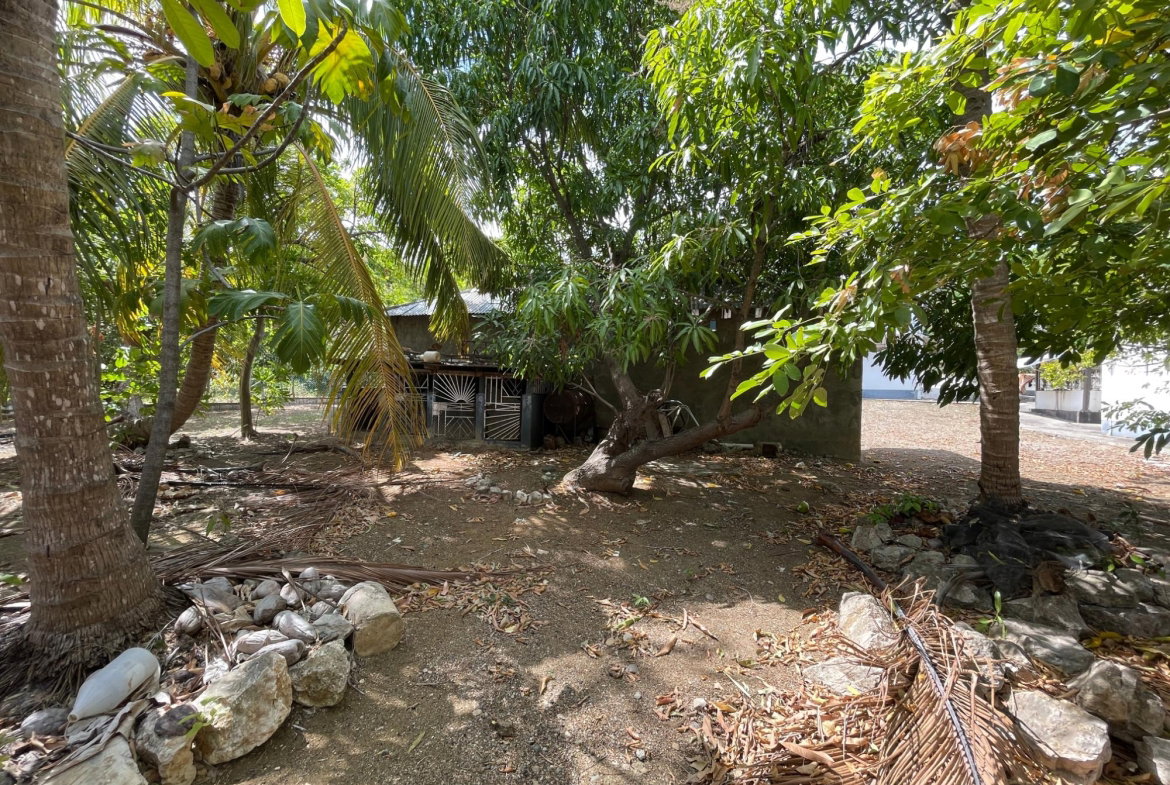 Twenty-Seventh image of 9 Mount George Pen in Pomfret, St. Thomas, Jamaica - property is For Sale