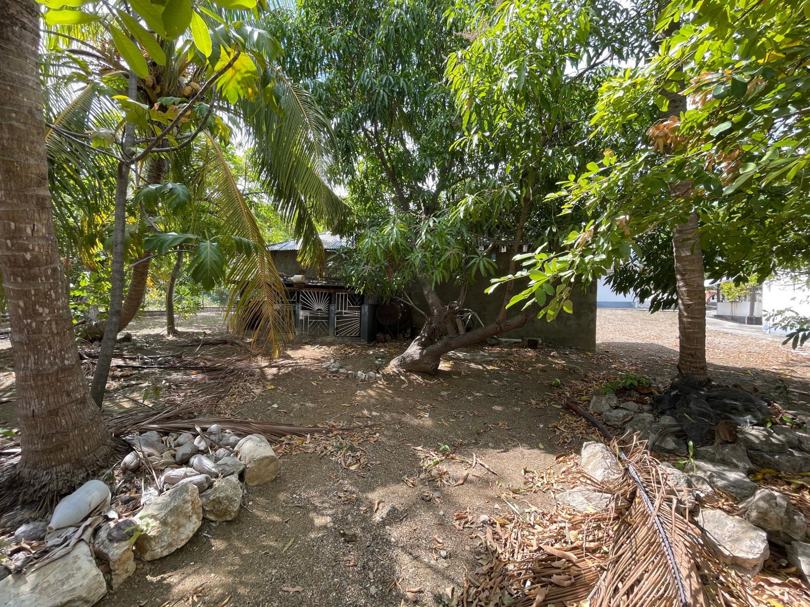 Guest-House-Opportunity-For-Sale-in-Pamphret-St.-Thomas-Jamaica-5-Acre-Property Twenty-Seventh image of 9 Mount George Pen in Pomfret, St. Thomas, Jamaica - property is For Sale