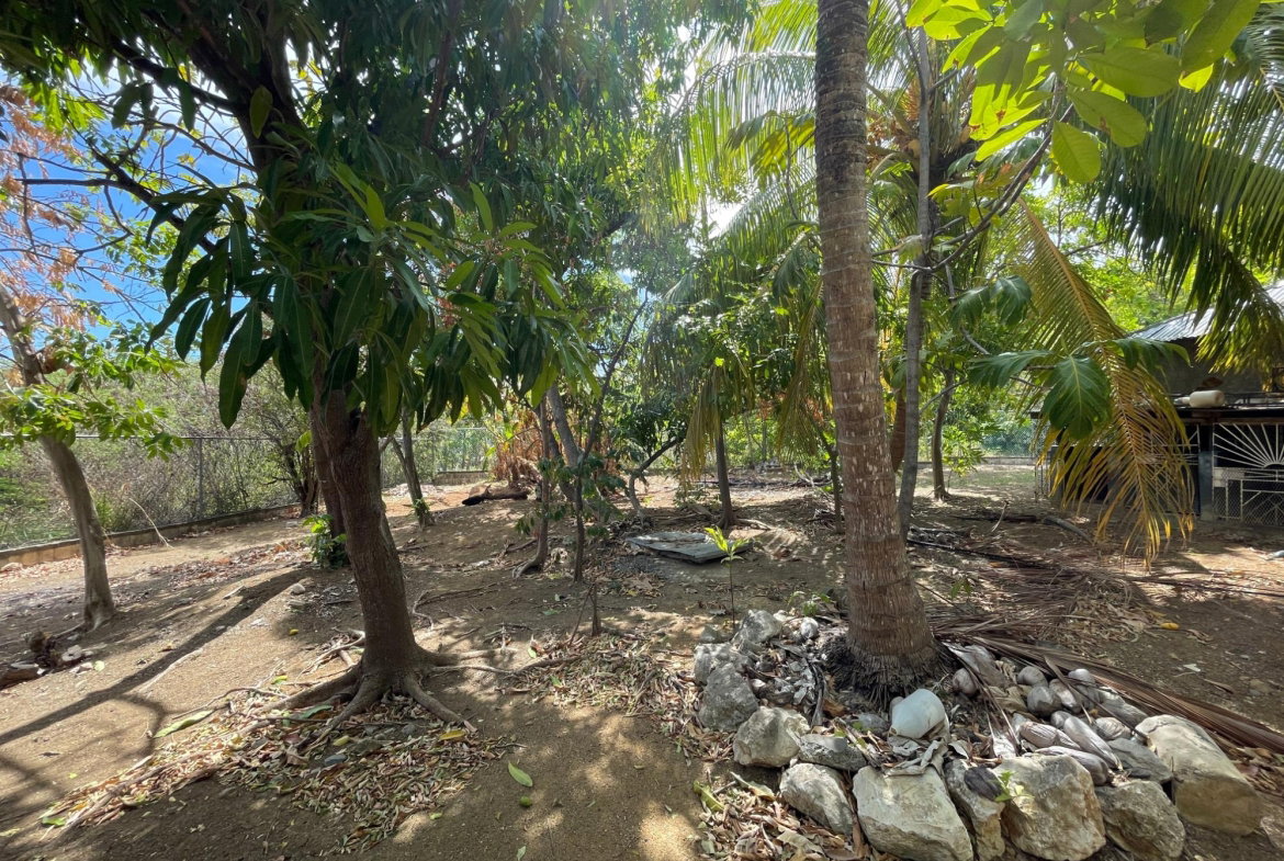 Twenty-Eighth image of 9 Mount George Pen in Pomfret, St. Thomas, Jamaica - property is For Sale