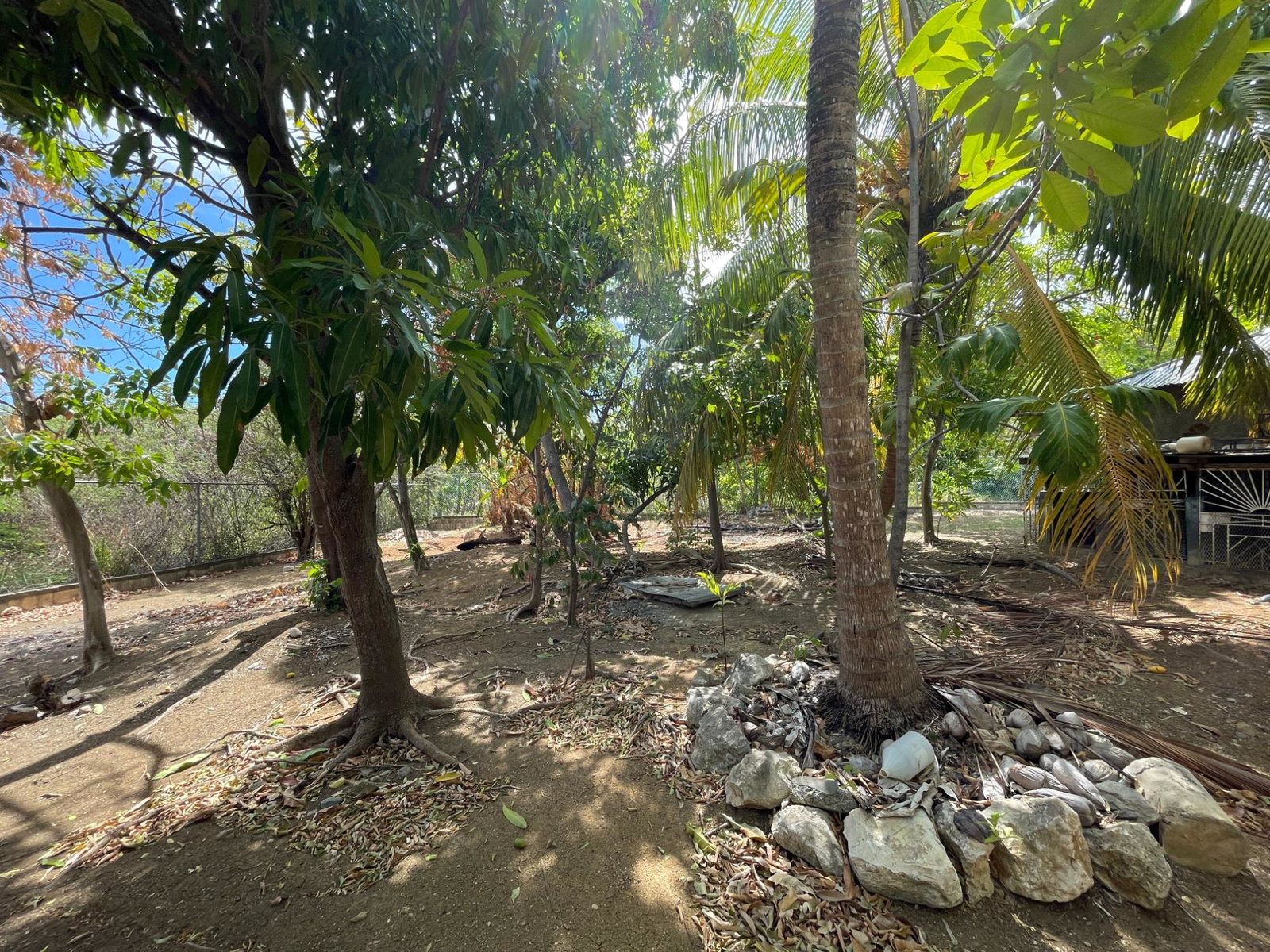 Guest-House-Opportunity-For-Sale-in-Pamphret-St.-Thomas-Jamaica-5-Acre-Property Twenty-Eighth image of 9 Mount George Pen in Pomfret, St. Thomas, Jamaica - property is For Sale