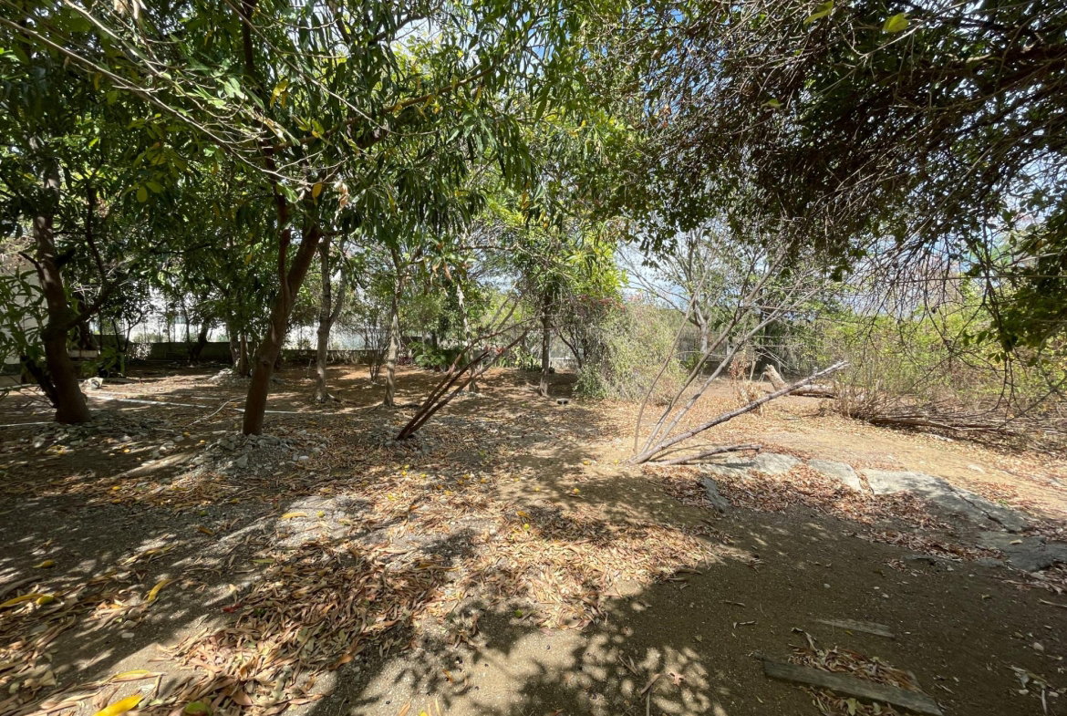Twenty-Ninth image of 9 Mount George Pen in Pomfret, St. Thomas, Jamaica - property is For Sale