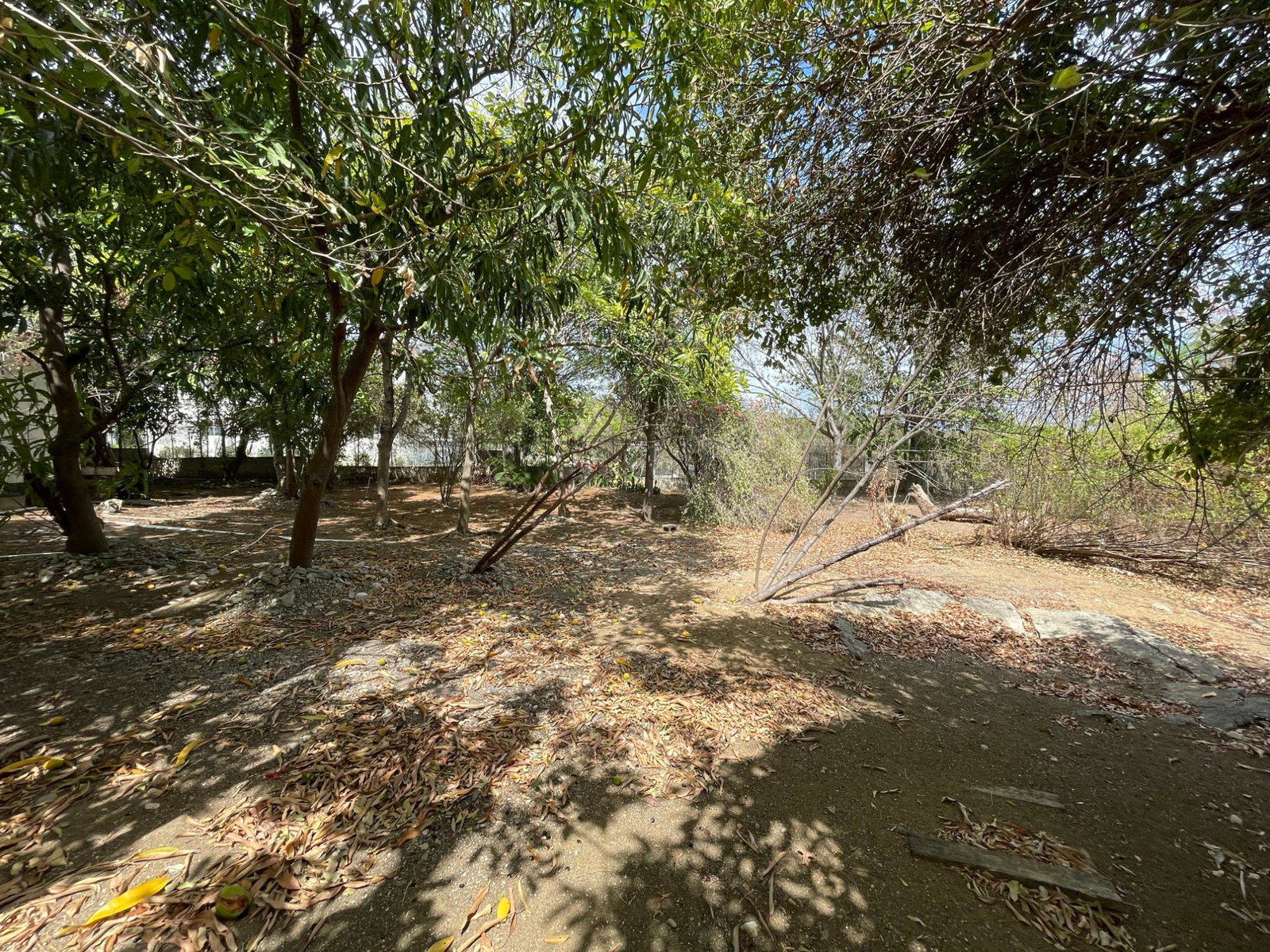 Guest-House-Opportunity-For-Sale-in-Pamphret-St.-Thomas-Jamaica-5-Acre-Property Twenty-Ninth image of 9 Mount George Pen in Pomfret, St. Thomas, Jamaica - property is For Sale