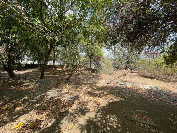 Twenty-Ninth image of 9 Mount George Pen in Pomfret, St. Thomas, Jamaica - property is For Sale