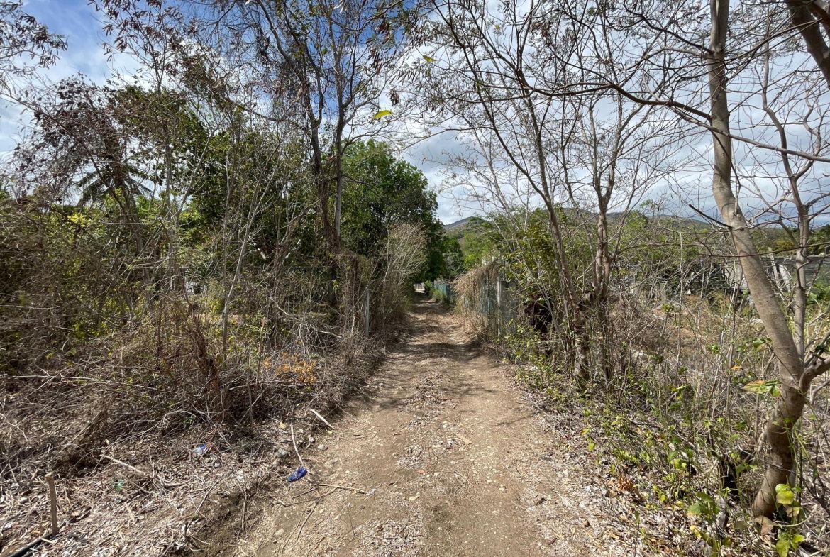 Thirtieth image of 9 Mount George Pen in Pomfret, St. Thomas, Jamaica - property is For Sale