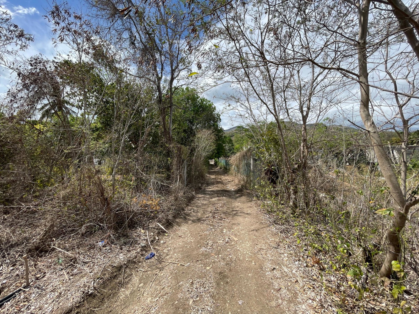 Guest-House-Opportunity-For-Sale-in-Pamphret-St.-Thomas-Jamaica-5-Acre-Property Thirtieth image of 9 Mount George Pen in Pomfret, St. Thomas, Jamaica - property is For Sale