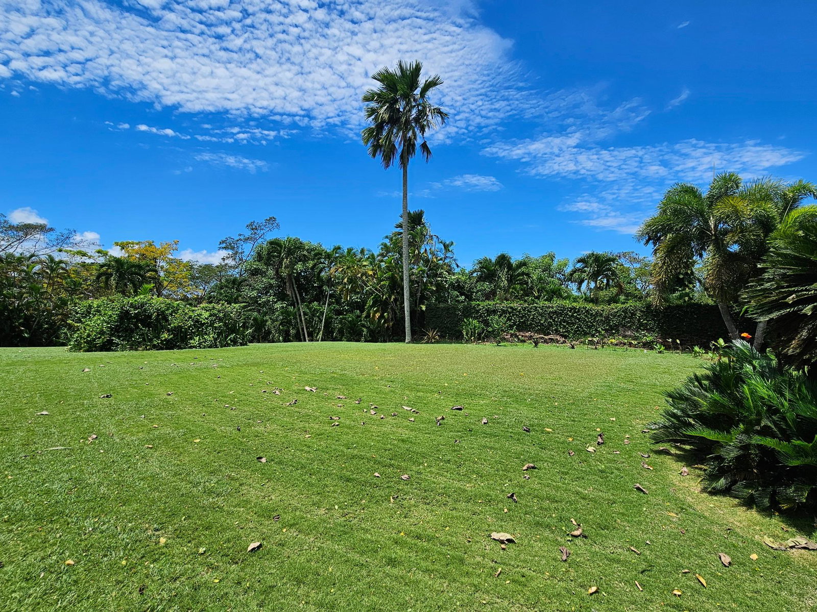 Sixth image of 0-lot 63 Main Street Annoto Bay in Annotto Bay, St. Mary, Jamaica - property is For Sale