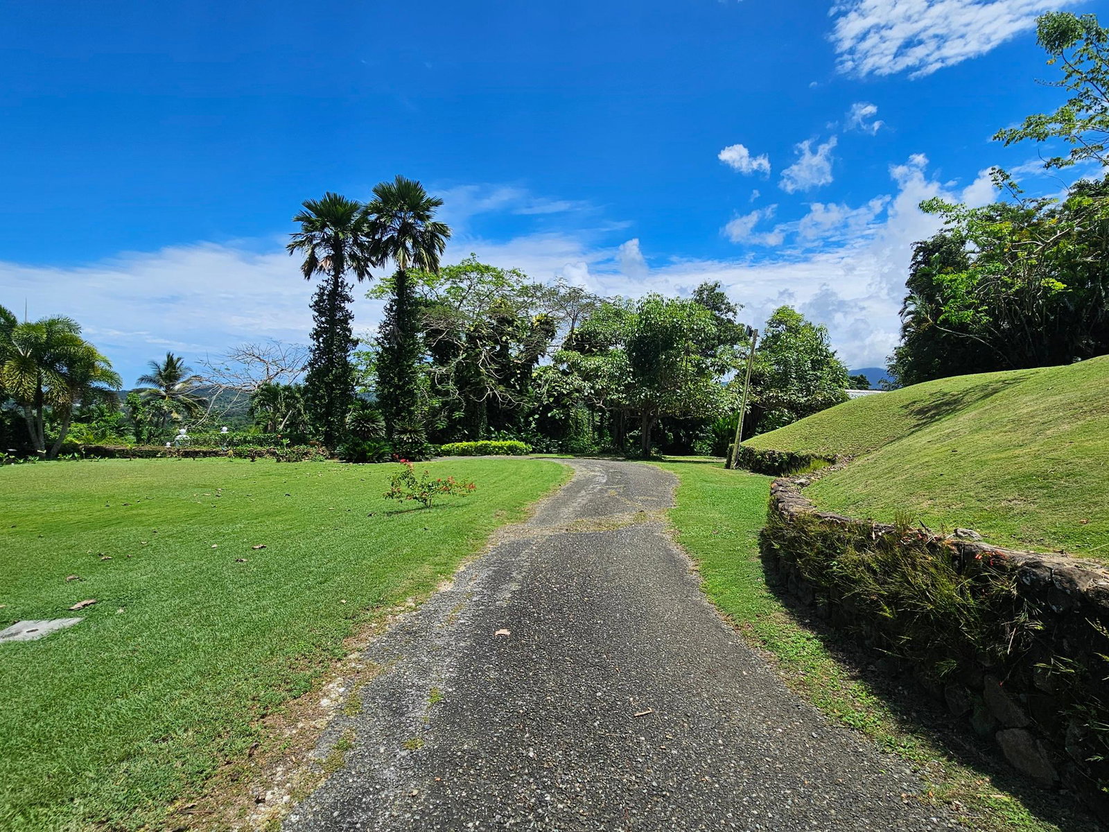Ninth image of 0-lot 63 Main Street Annoto Bay in Annotto Bay, St. Mary, Jamaica - property is For Sale