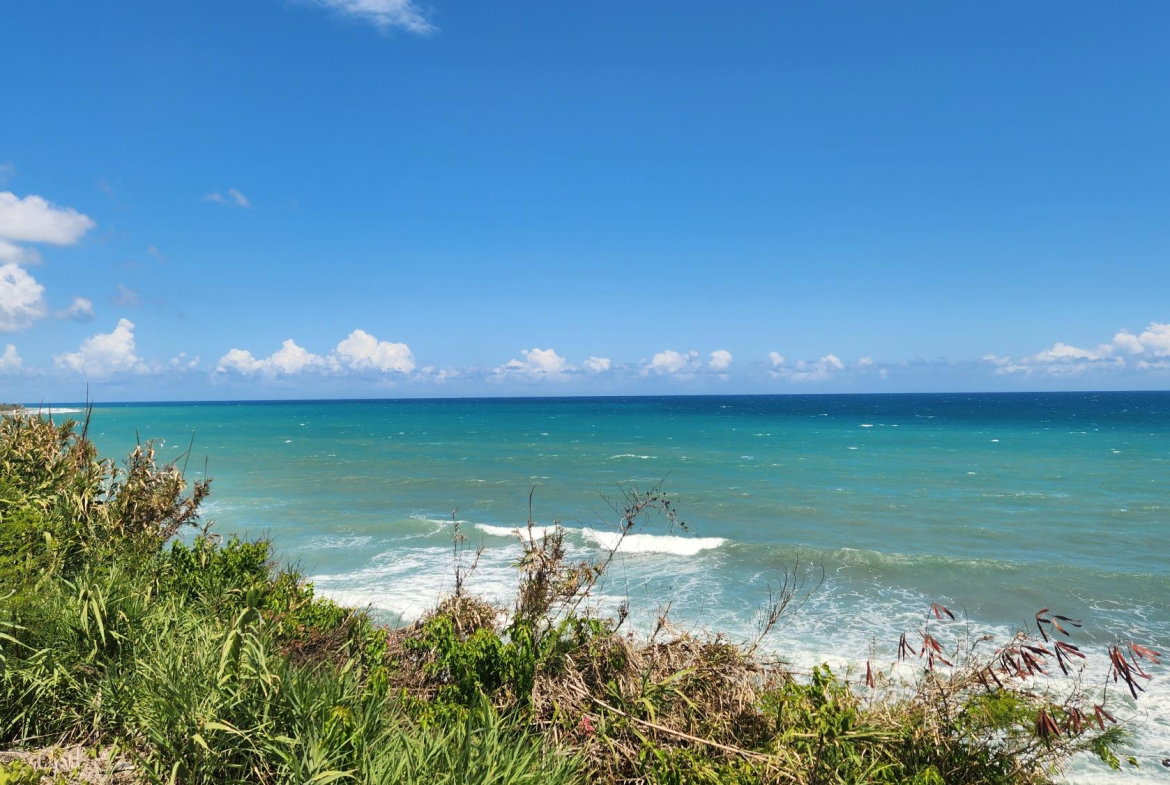 Thirteenth image of White Horses, Yallahs, st in WHITE HORSES, St. Thomas, Jamaica - property is For Sale