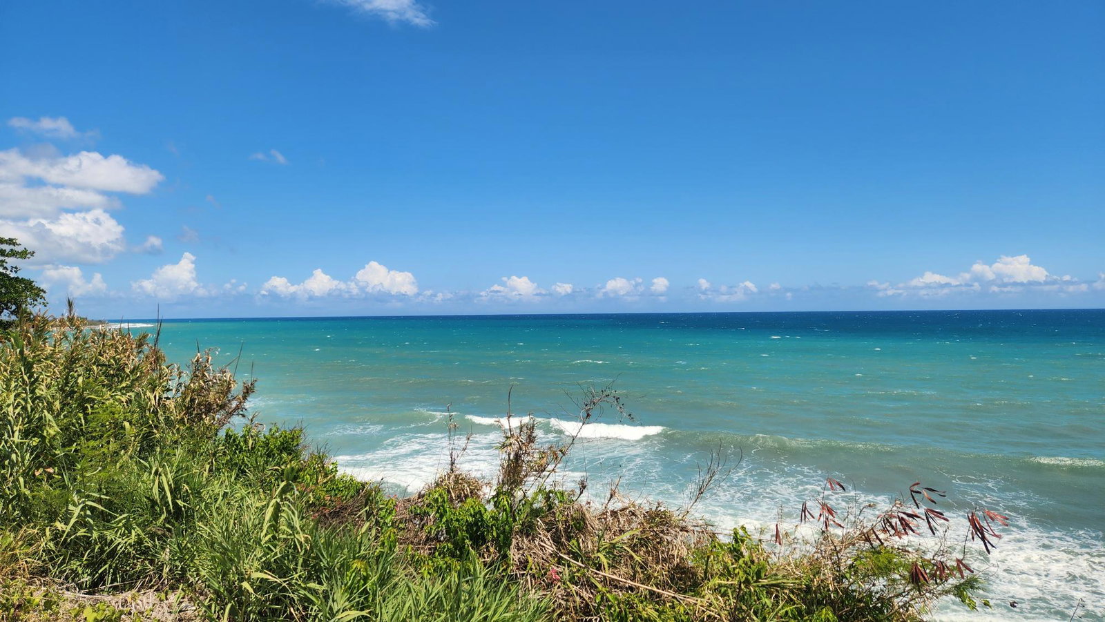 Thirteenth image of White Horses, Yallahs, st in WHITE HORSES, St. Thomas, Jamaica - property is For Sale