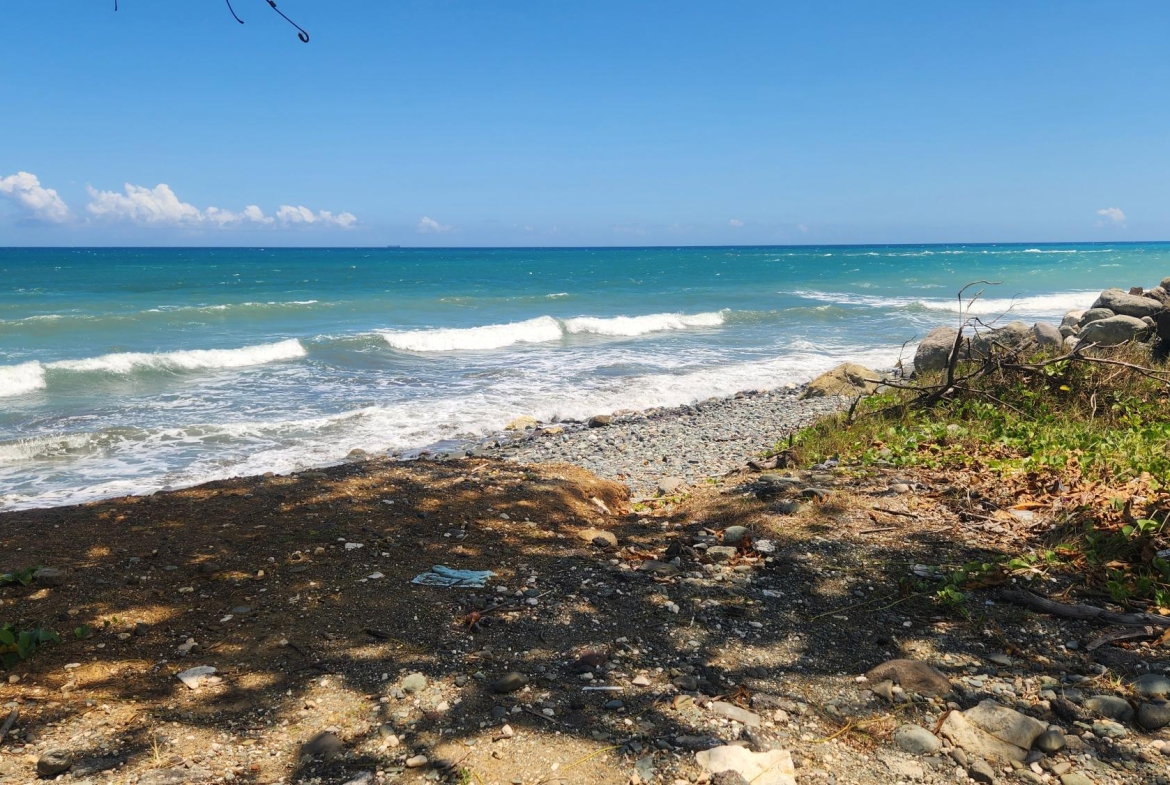 Fifteenth image of White Horses, Yallahs, st in WHITE HORSES, St. Thomas, Jamaica - property is For Sale