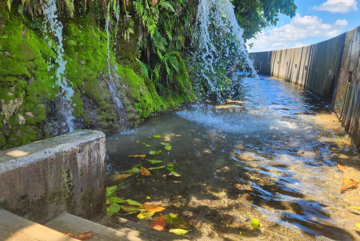Eighteenth image of White Horses, Yallahs, st in WHITE HORSES, St. Thomas, Jamaica - property is For Sale