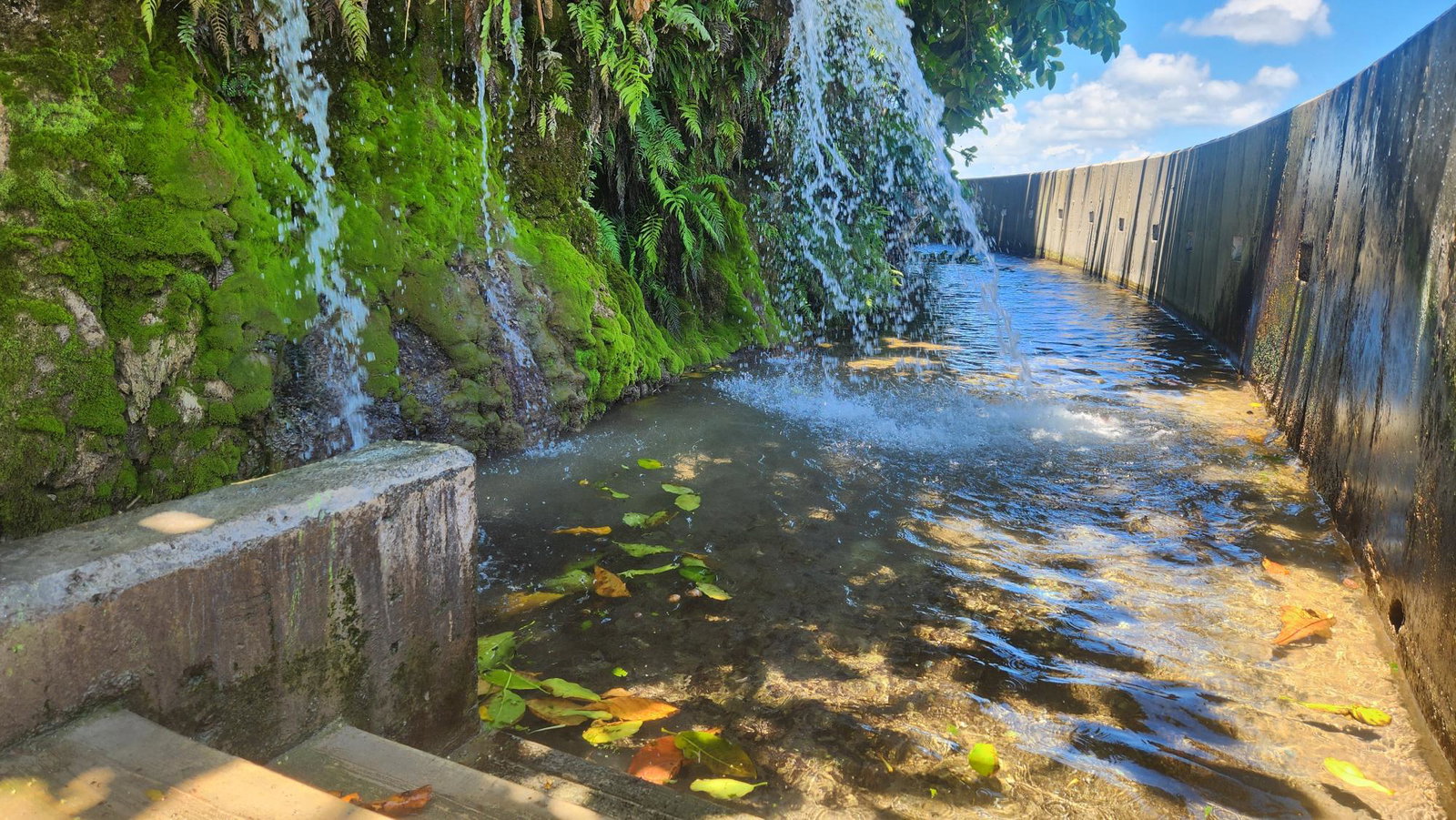 Eighteenth image of White Horses, Yallahs, st in WHITE HORSES, St. Thomas, Jamaica - property is For Sale