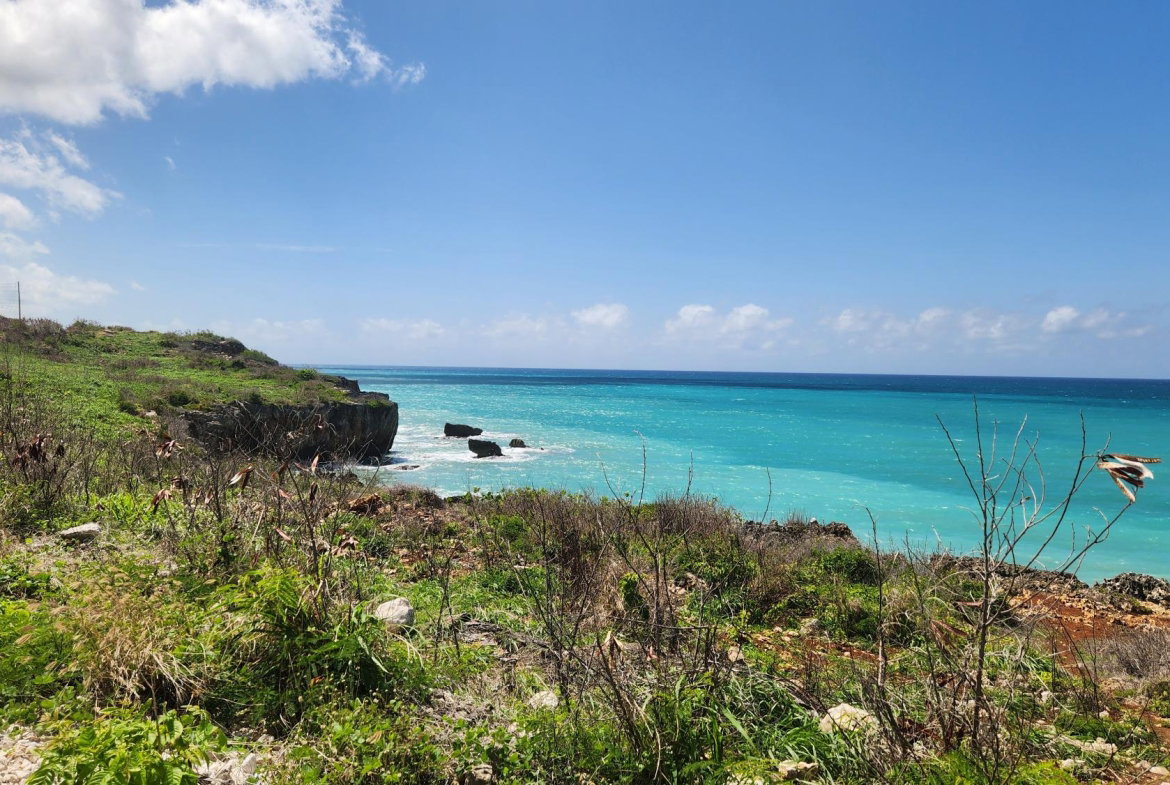 Twenty-Sixth image of White Horses, Yallahs, st in WHITE HORSES, St. Thomas, Jamaica - property is For Sale
