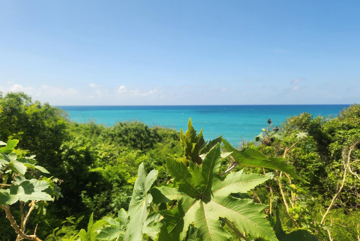 Sixth image of White Horses, Yallahs, st in WHITE HORSES, St. Thomas, Jamaica - property is For Sale
