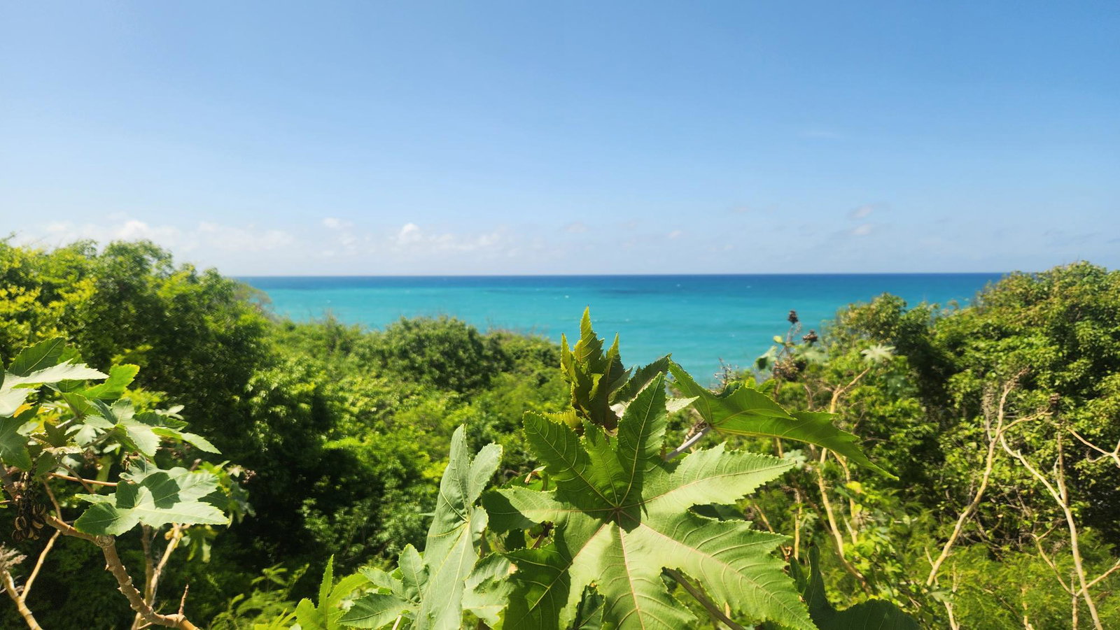 Sixth image of White Horses, Yallahs, st in WHITE HORSES, St. Thomas, Jamaica - property is For Sale