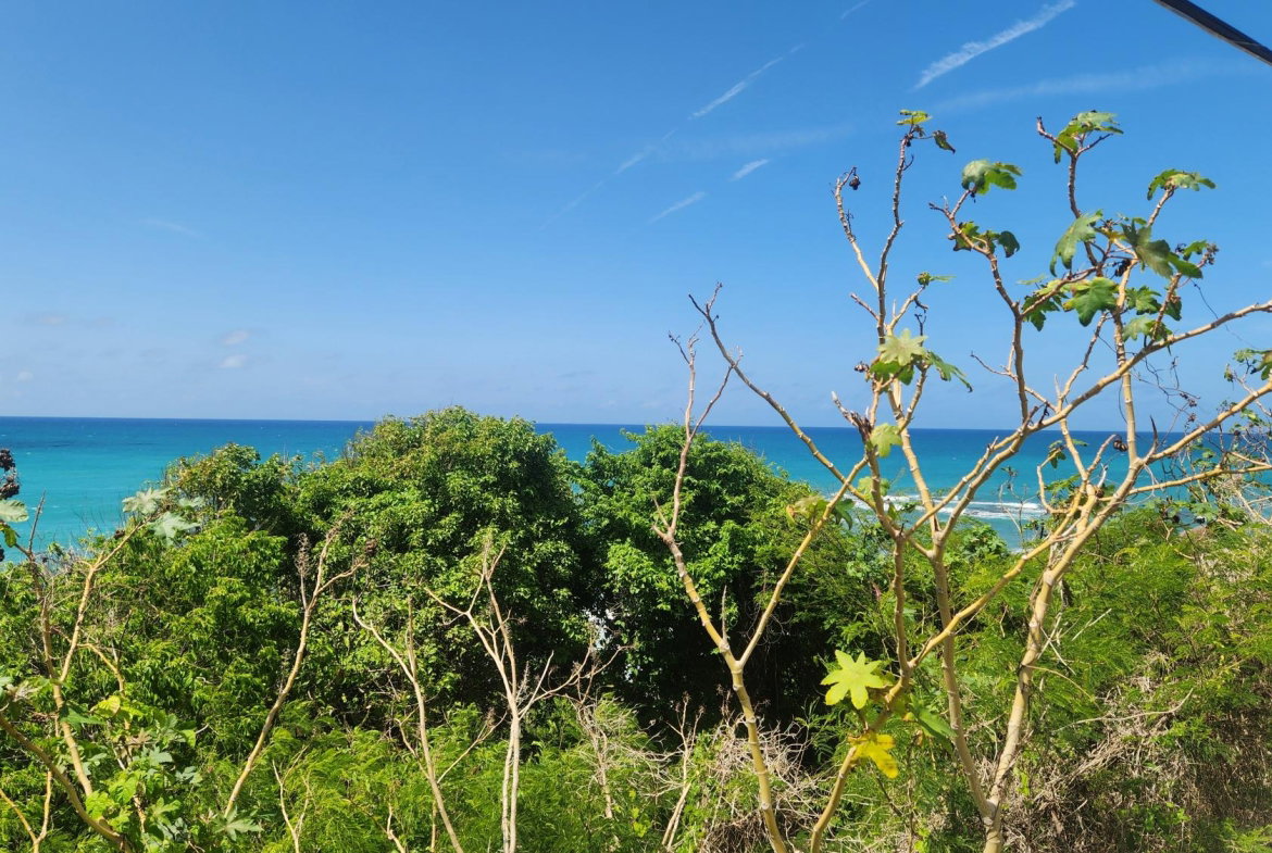 Seventh image of White Horses, Yallahs, st in WHITE HORSES, St. Thomas, Jamaica - property is For Sale