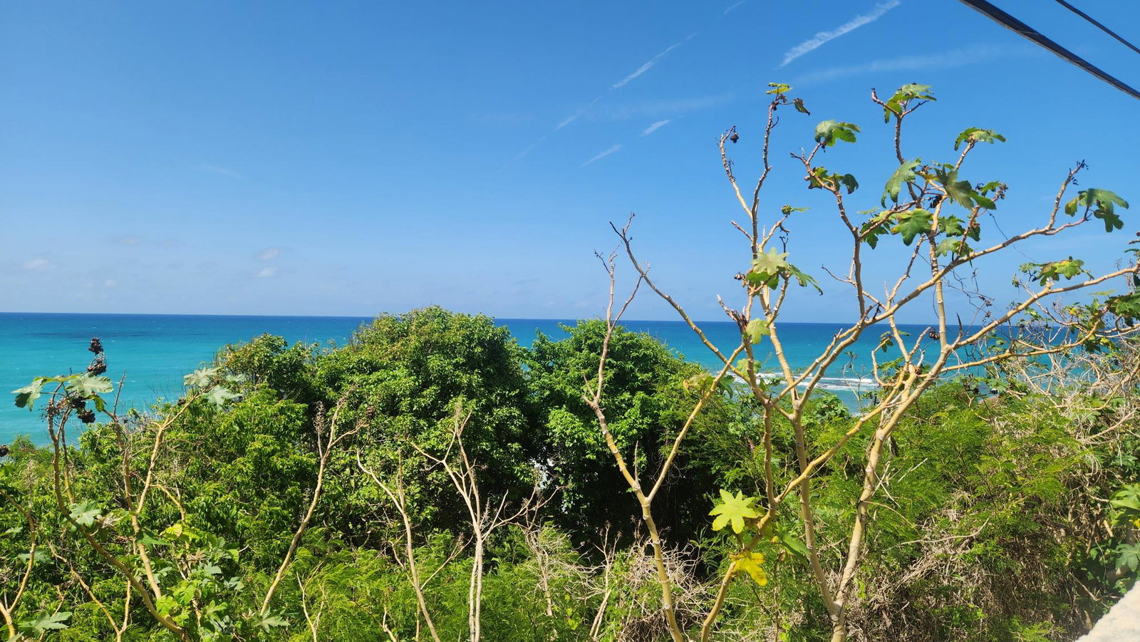 Seventh image of White Horses, Yallahs, st in WHITE HORSES, St. Thomas, Jamaica - property is For Sale