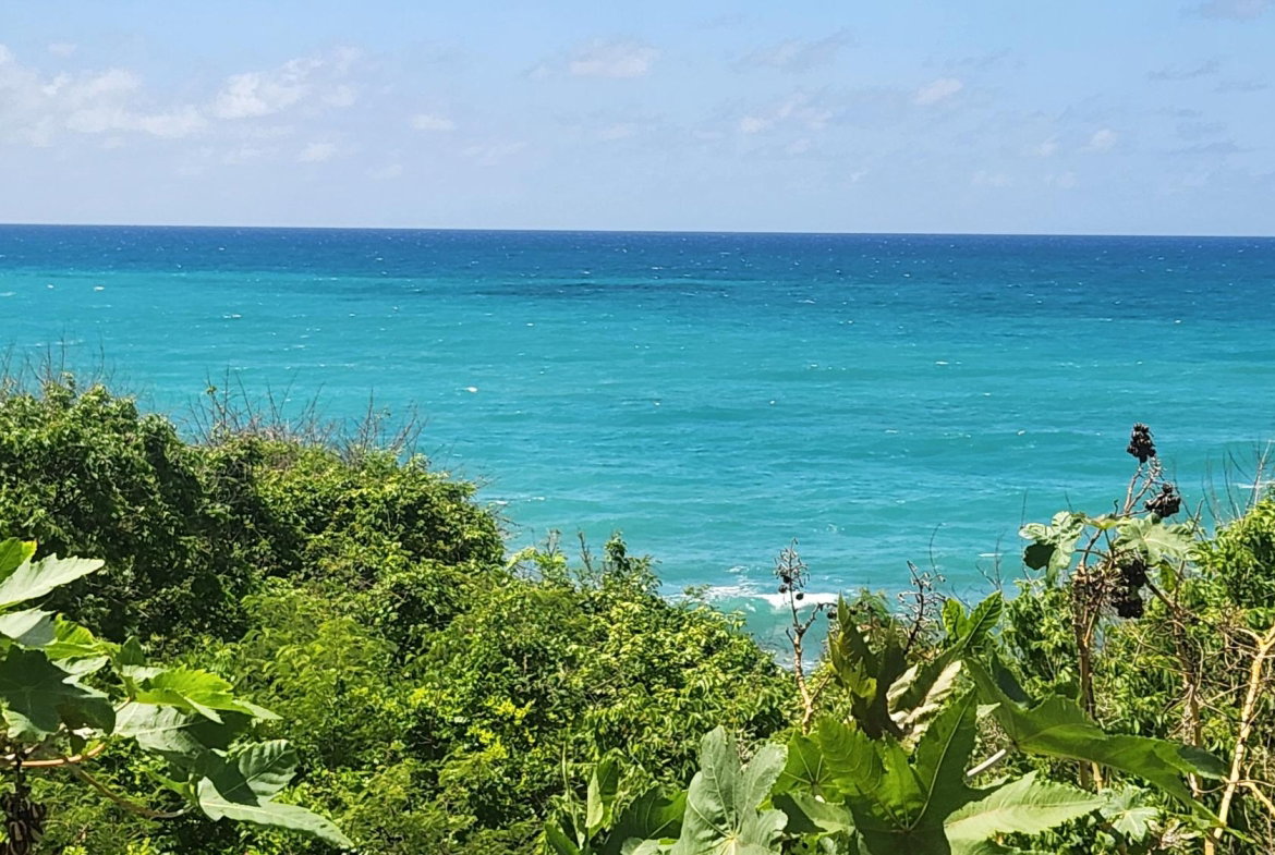 Eighth image of White Horses, Yallahs, st in WHITE HORSES, St. Thomas, Jamaica - property is For Sale
