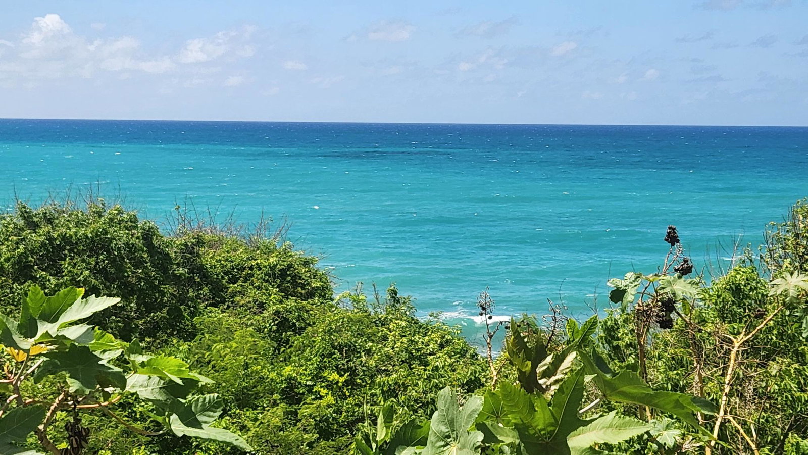 Eighth image of White Horses, Yallahs, st in WHITE HORSES, St. Thomas, Jamaica - property is For Sale