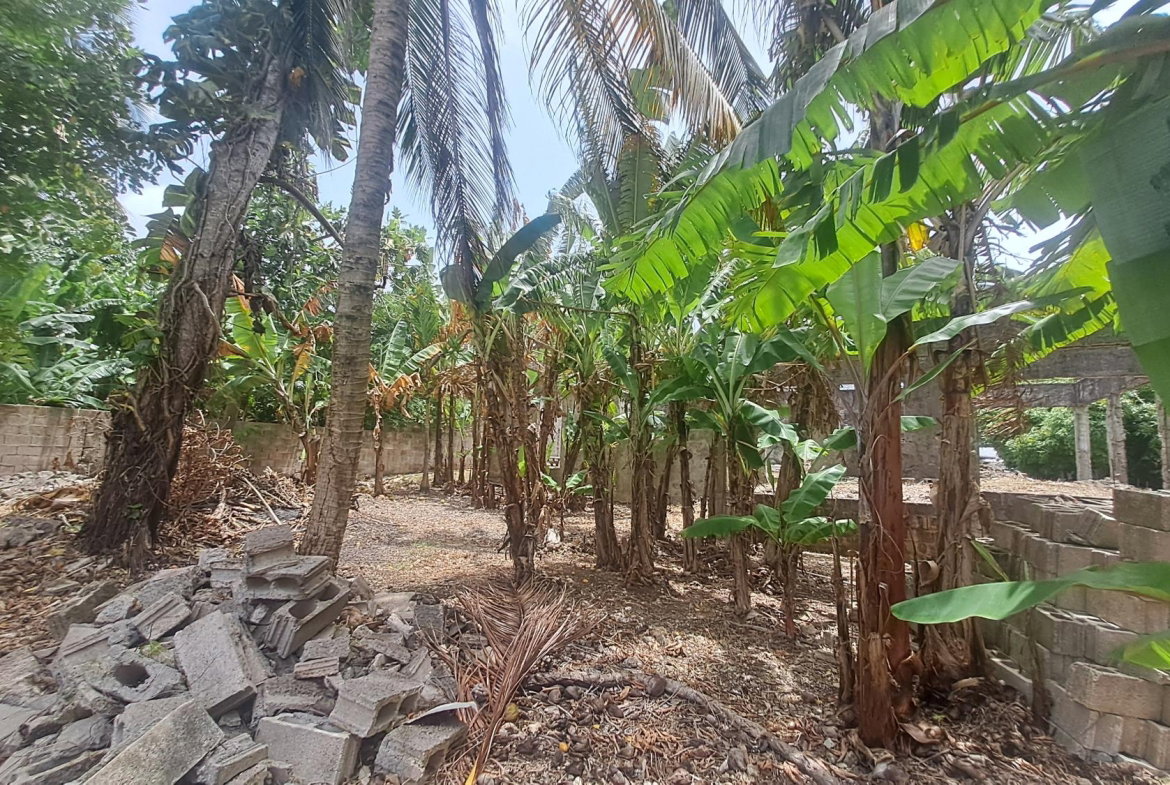 Eighteenth image of 175 Pimento Drive in Tower Isle, St. Mary, Jamaica - property is For Sale