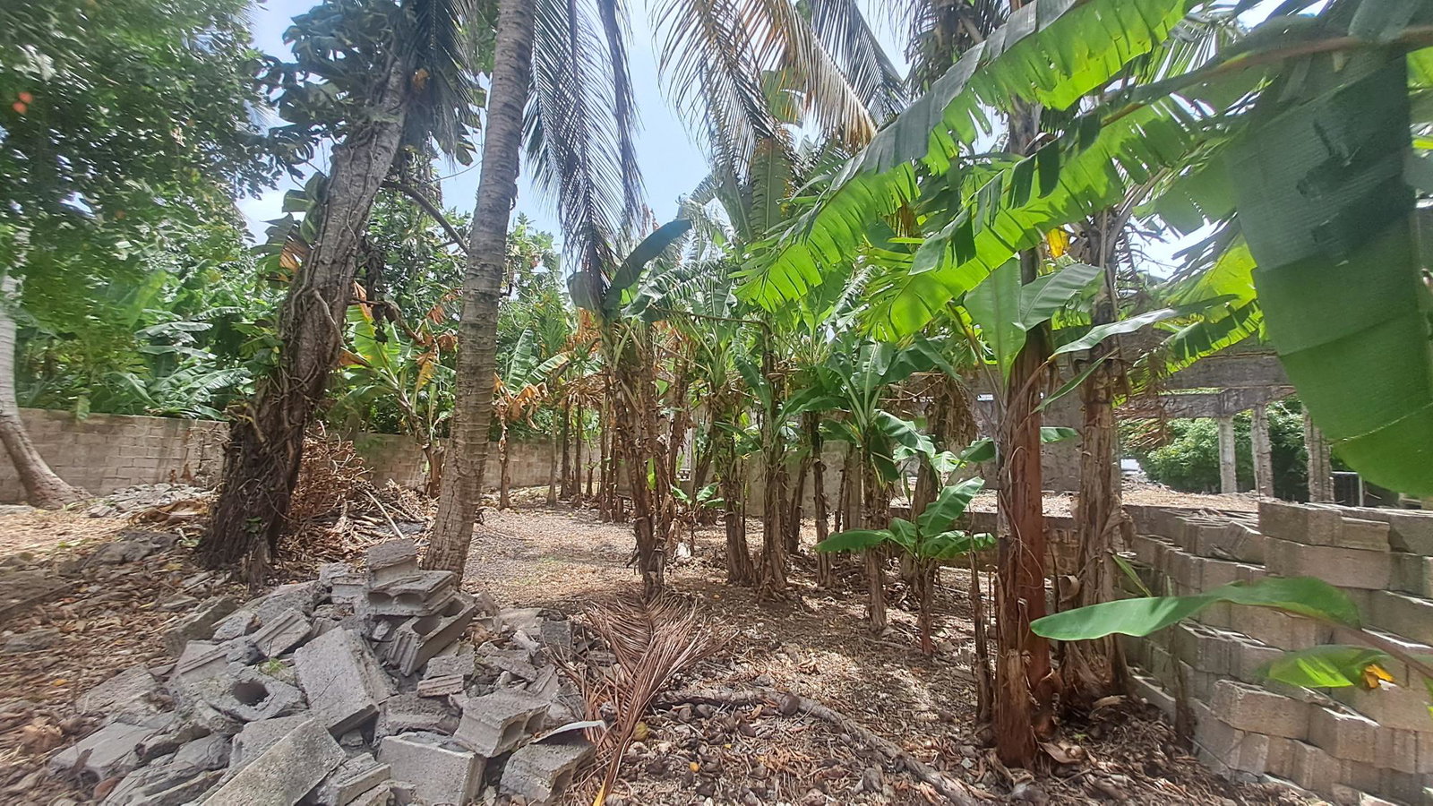 Eighteenth image of 175 Pimento Drive in Tower Isle, St. Mary, Jamaica - property is For Sale