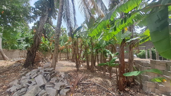 Eighteenth image of 175 Pimento Drive in Tower Isle, St. Mary, Jamaica - property is For Sale