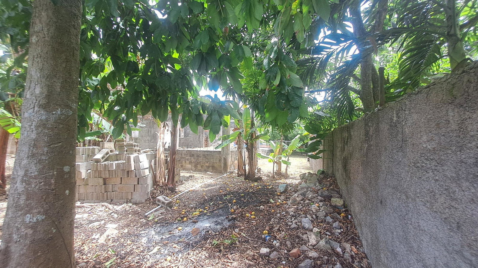 Nineteenth image of 175 Pimento Drive in Tower Isle, St. Mary, Jamaica - property is For Sale