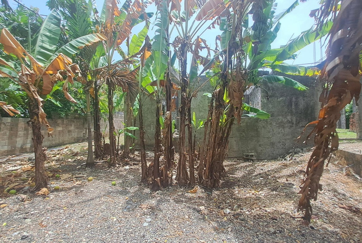 Twentieth image of 175 Pimento Drive in Tower Isle, St. Mary, Jamaica - property is For Sale