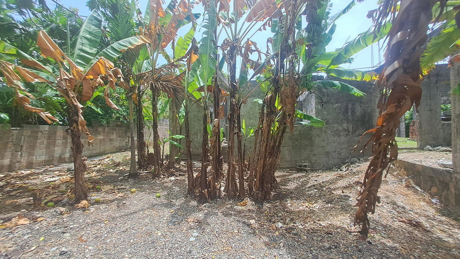 Twentieth image of 175 Pimento Drive in Tower Isle, St. Mary, Jamaica - property is For Sale