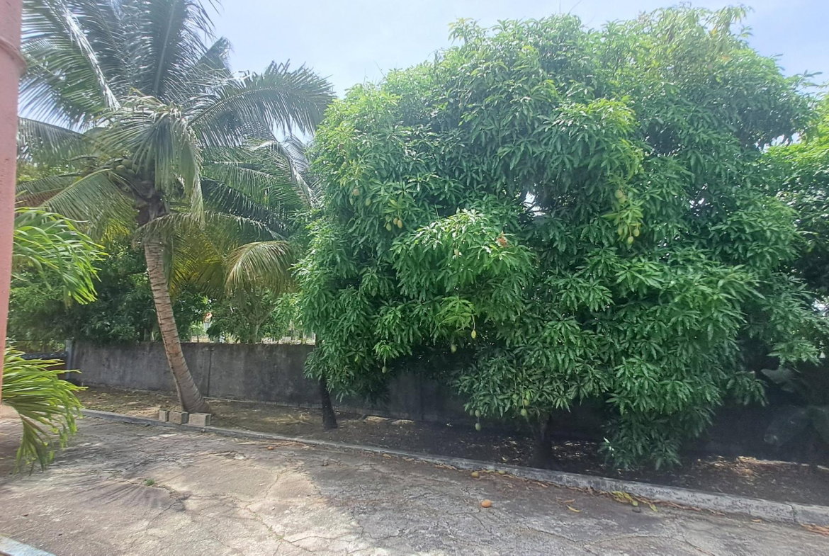Eighth image of 175 Pimento Drive in Tower Isle, St. Mary, Jamaica - property is For Sale