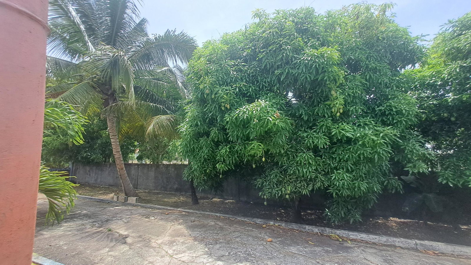 Eighth image of 175 Pimento Drive in Tower Isle, St. Mary, Jamaica - property is For Sale