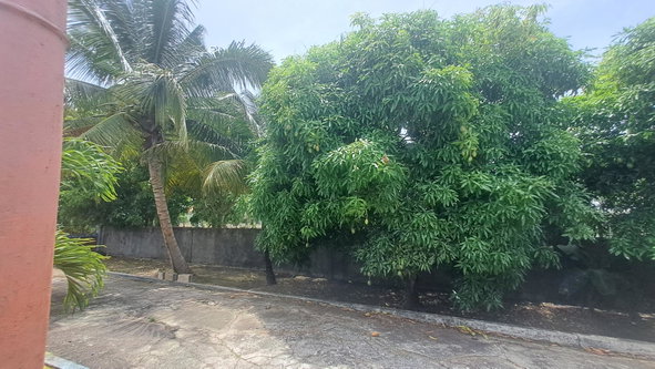 Eighth image of 175 Pimento Drive in Tower Isle, St. Mary, Jamaica - property is For Sale