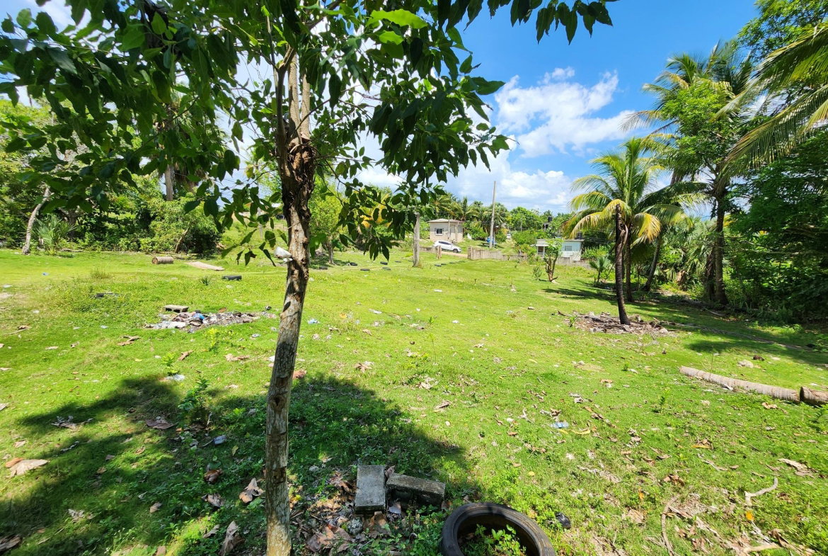 Thirteenth image of Seven Corners in Santa Cruz, St. Elizabeth, Jamaica - property is For Sale