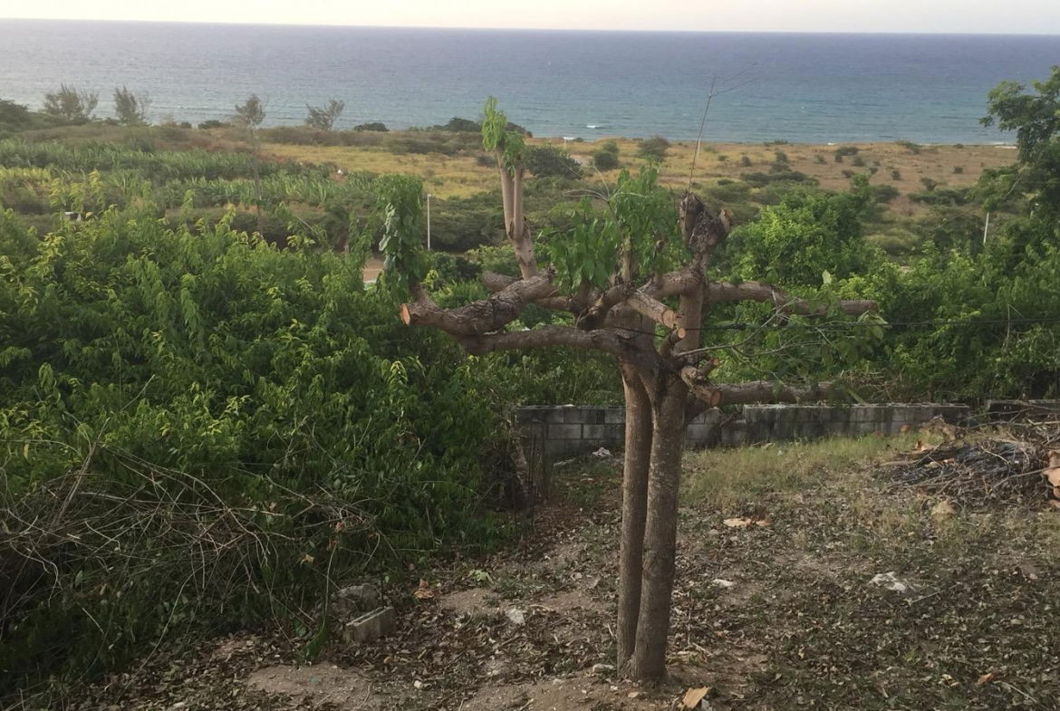 Twelfth image of 745 Oceanview Drive Northern in Lilliput, St. James, Jamaica - property is For Sale