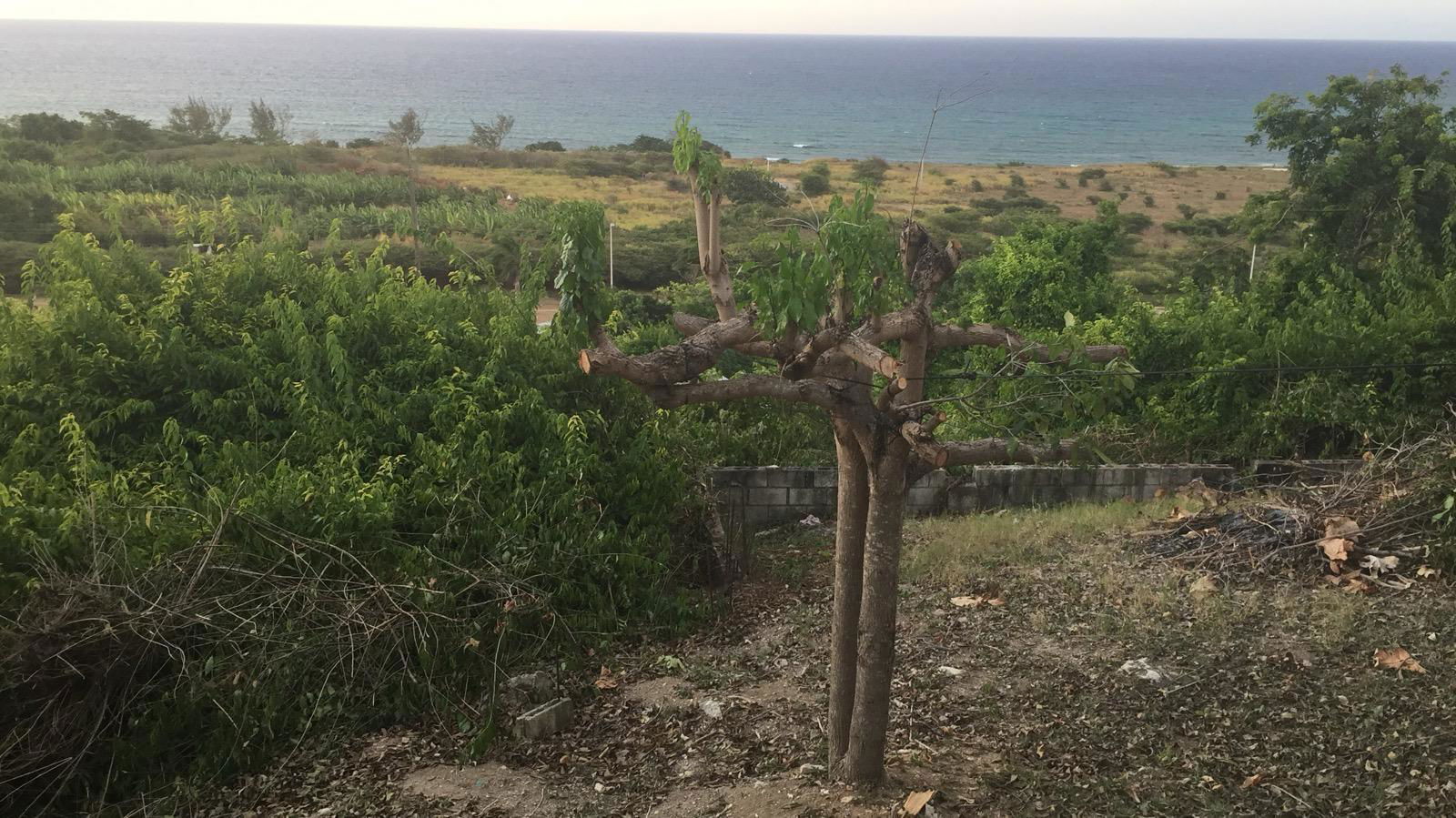 Twelfth image of 745 Oceanview Drive Northern in Lilliput, St. James, Jamaica - property is For Sale