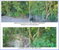 First image of Lot 7n Delisser Drive in Montego Bay, St. James, Jamaica - property is For Sale