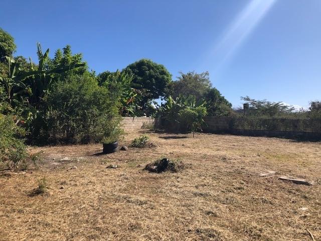 Eleventh image of 275 St. Thomas Drive in Albion, St. Thomas, Jamaica - property is For Sale