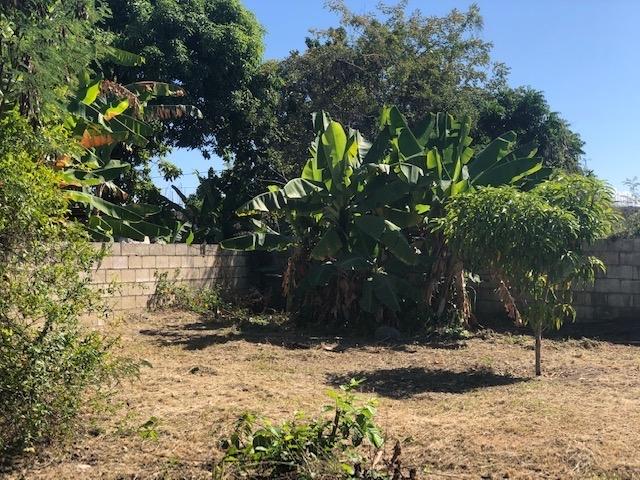 Twelfth image of 275 St. Thomas Drive in Albion, St. Thomas, Jamaica - property is For Sale
