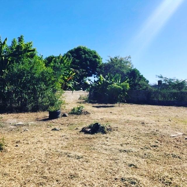 Eighth image of 275 St. Thomas Drive in Albion, St. Thomas, Jamaica - property is For Sale