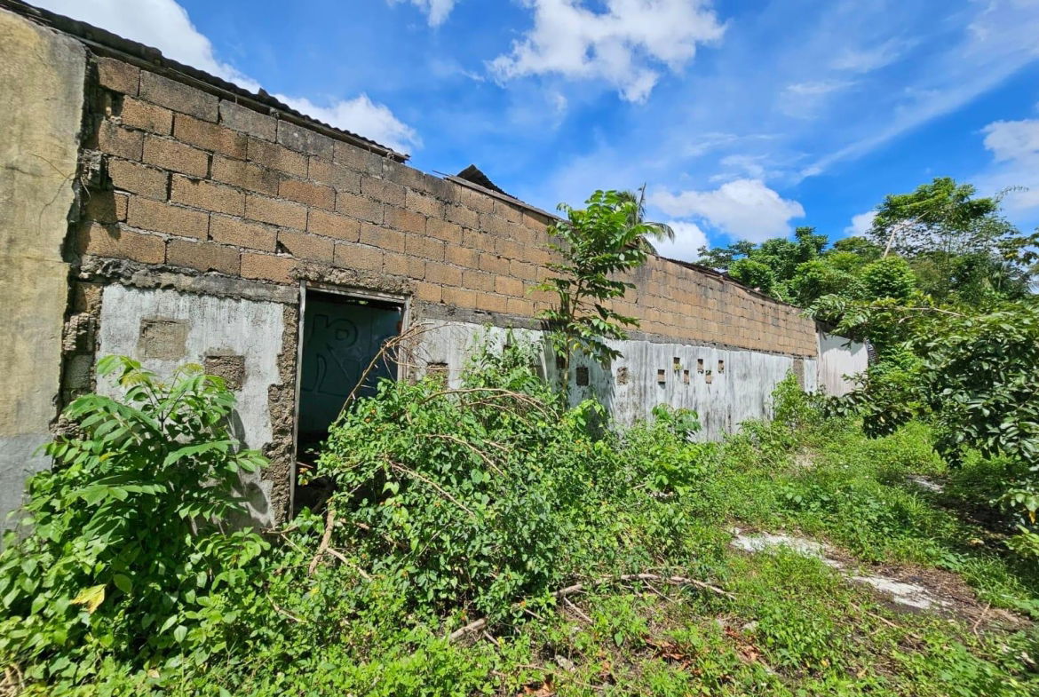 Tenth image of 10 Part of Troy in Troy, Trelawny, Jamaica - property is For Sale