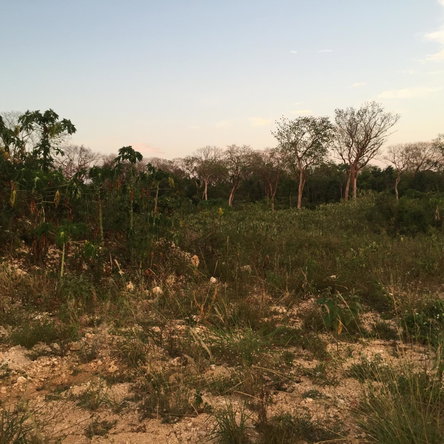 Ninth image of 38 Lakeshore - Greenside Fal in Greenside, Trelawny, Jamaica - property is For Sale